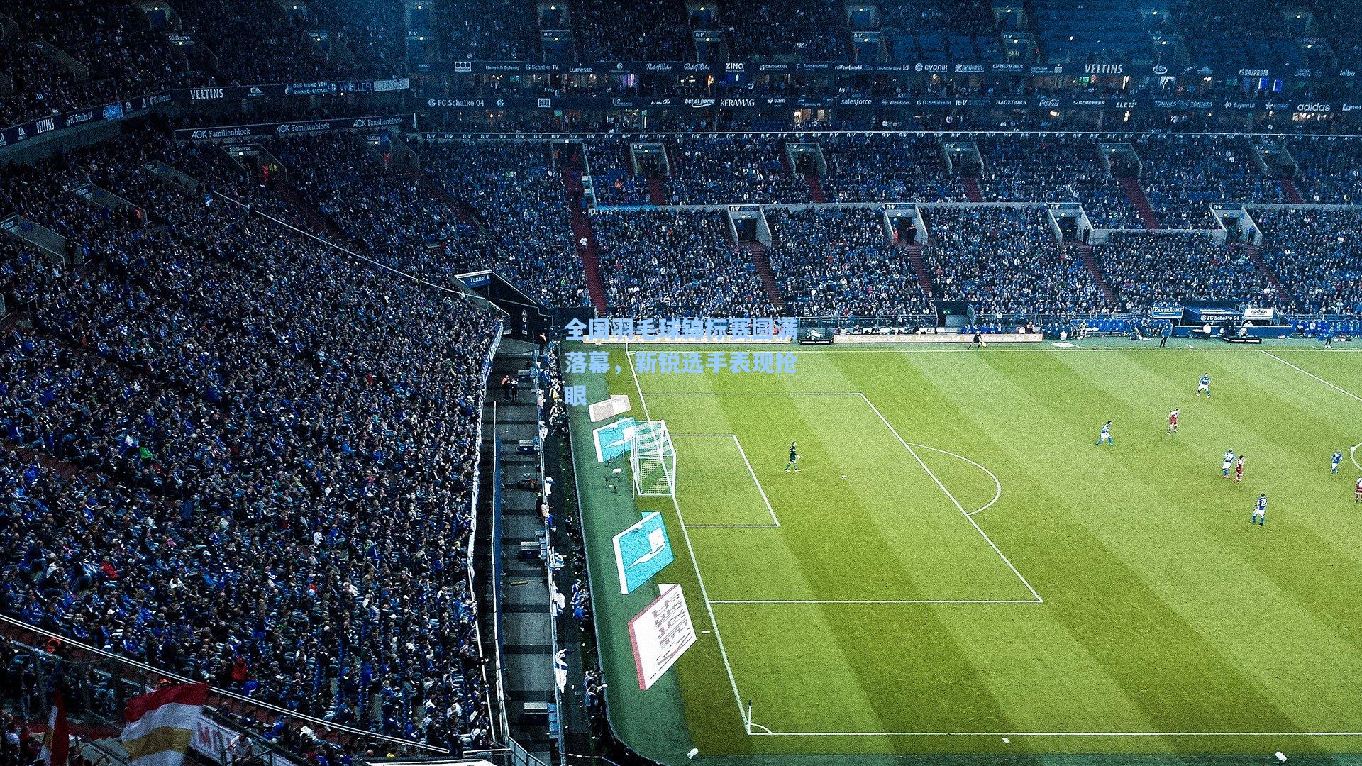 全国羽毛球锦标赛圆满落幕,新锐选手表现抢眼